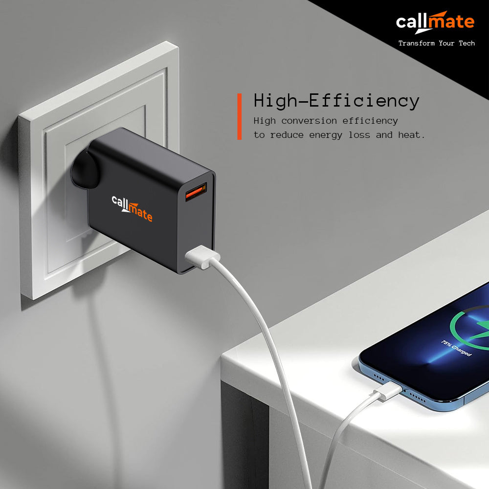 Callmate CT 31 QC PD Wall Charger With Type-C Cable