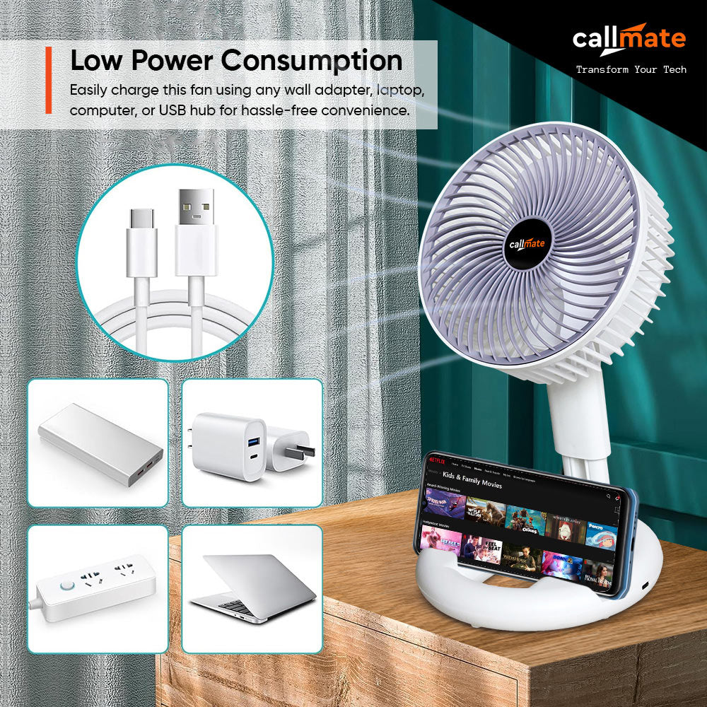A1: Multifunctional Folding Fan