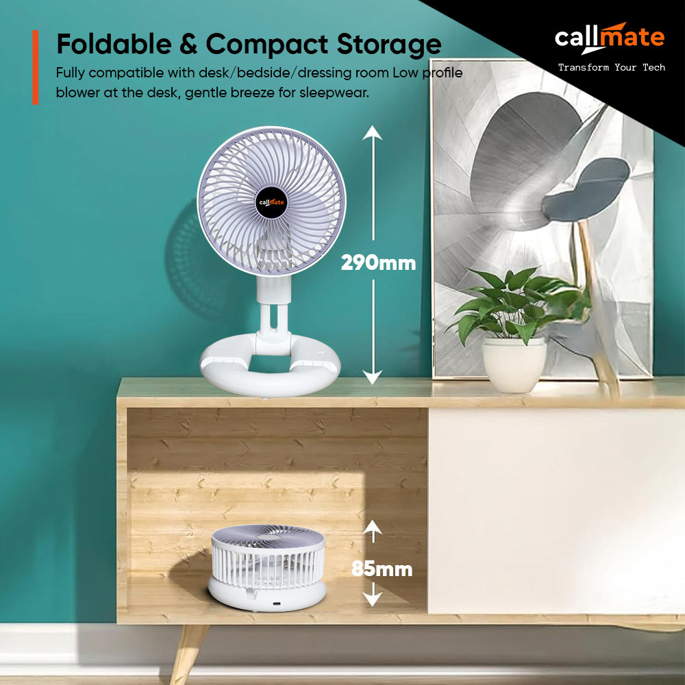 A1: Multifunctional Folding Fan