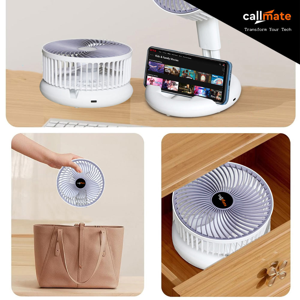A1: Multifunctional Folding Fan