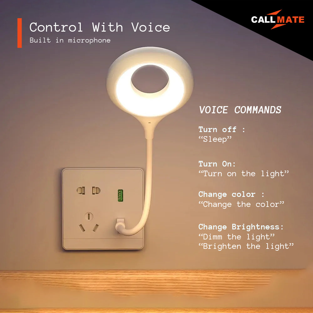 Voice Control Light