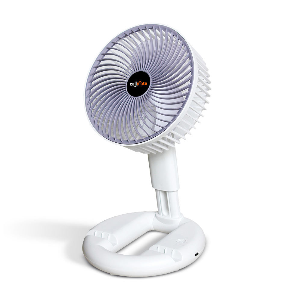 A1: Multifunctional Folding Fan